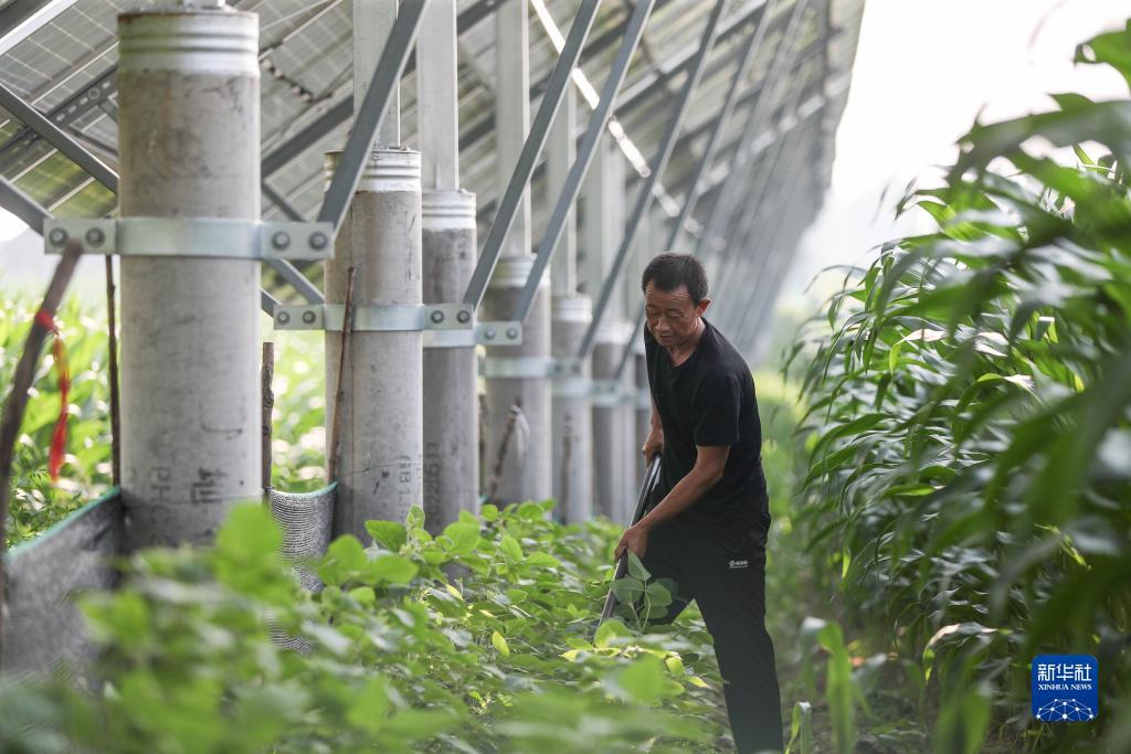 拉斯维加斯平台